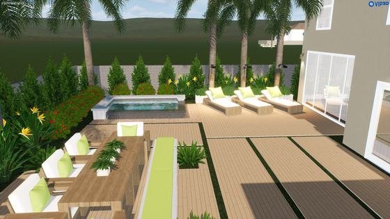 Euphorbia Spa 10′ × 14′